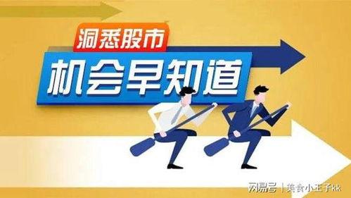 股票最新消息爆料新闻,揭秘重大利好消息